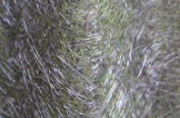 Heronsford fibreglass roof work